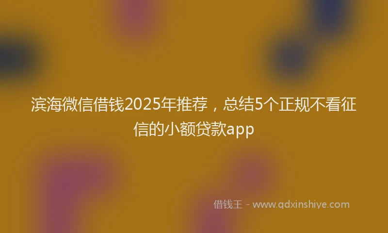 滨海微信借钱2025年推荐，总结5个正规不看征信的小额贷款app