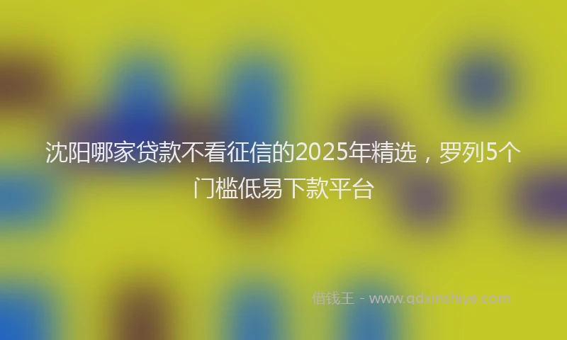 沈阳哪家贷款不看征信的2025年精选，罗列5个门槛低易下款平台
