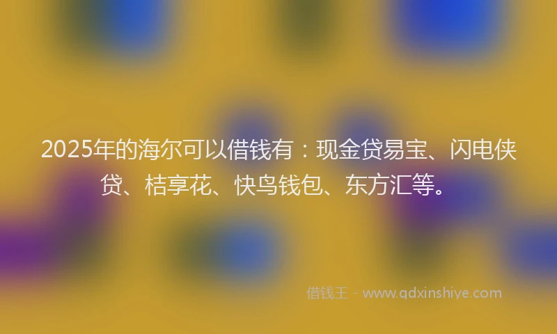 2025年的海尔可以借钱有：现金贷易宝、闪电侠贷、桔享花、快鸟钱包、东方汇等。