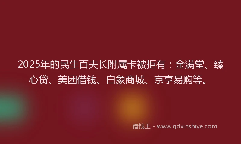 2025年的民生百夫长附属卡被拒有：金满堂、臻心贷、美团借钱、白象商城、京享易购等。