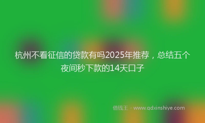 杭州不看征信的贷款有吗2025年推荐，总结五个夜间秒下款的14天口子