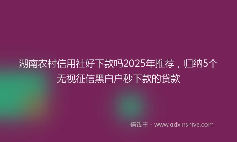 湖南农村信用社好下款吗2025年推荐，归纳5个无视征信黑白户秒下款的贷款