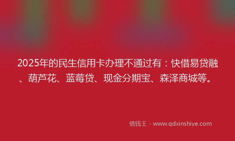 2025年的民生信用卡办理不通过有：快借易贷融、葫芦花、蓝莓贷、现金分期宝、森泽商城等。