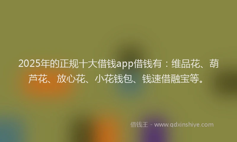 2025年的正规十大借钱app借钱有：维品花、葫芦花、放心花、小花钱包、钱速借融宝等。