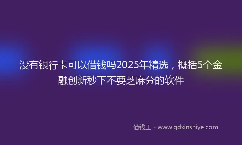 没有银行卡可以借钱吗2025年精选，概括5个金融创新秒下不要芝麻分的软件