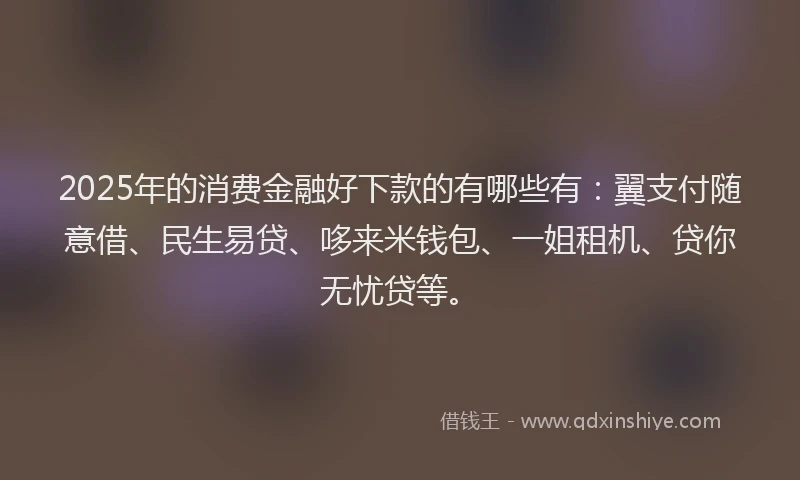 2025年的消费金融好下款的有哪些有：翼支付随意借、民生易贷、哆来米钱包、一姐租机、贷你无忧贷等。