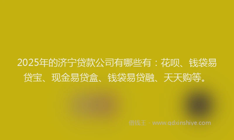 2025年的济宁贷款公司有哪些有：花呗、钱袋易贷宝、现金易贷盒、钱袋易贷融、天天购等。