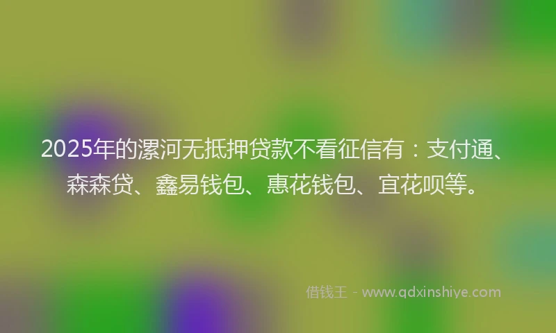 2025年的漯河无抵押贷款不看征信有：支付通、森森贷、鑫易钱包、惠花钱包、宜花呗等。