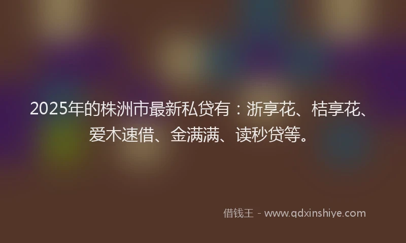 2025年的株洲市最新私贷有：浙享花、桔享花、爱木速借、金满满、读秒贷等。