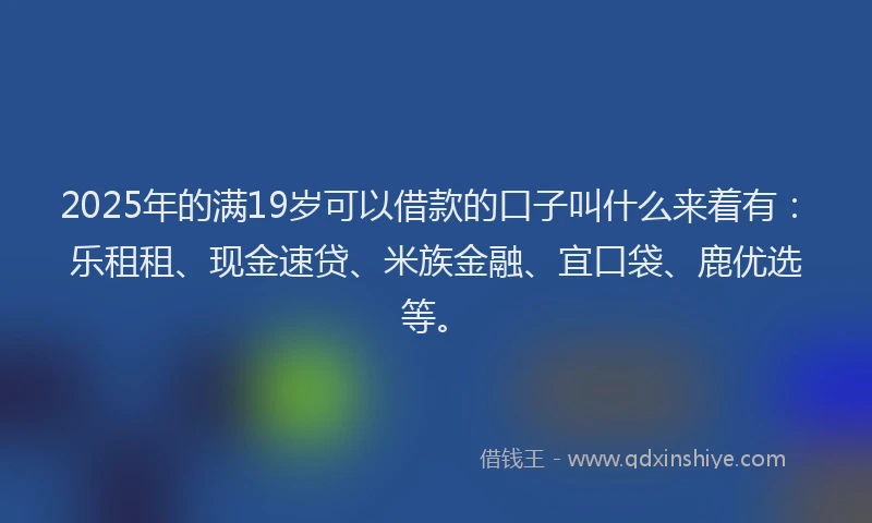 2025年的满19岁可以借款的口子叫什么来着有：乐租租、现金速贷、米族金融、宜口袋、鹿优选等。