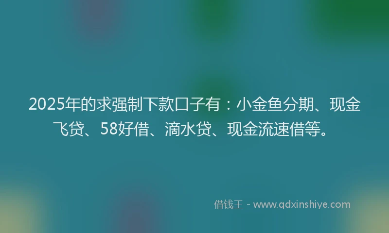 2025年的求强制下款口子有：小金鱼分期、现金飞贷、58好借、滴水贷、现金流速借等。