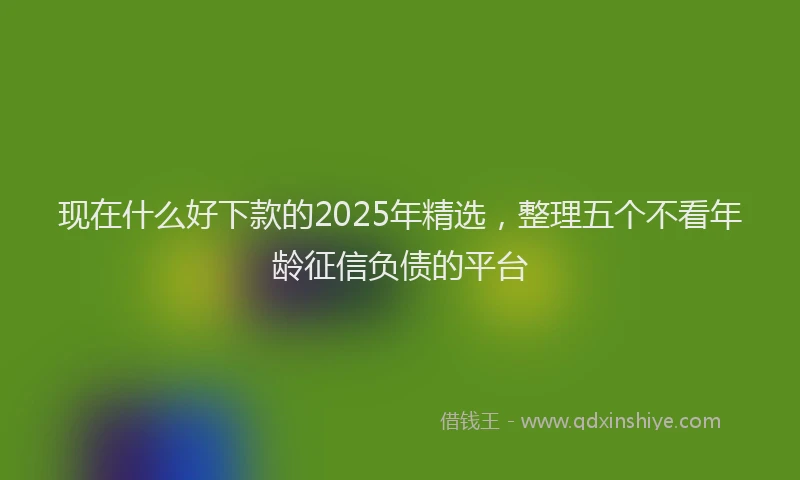 现在什么好下款的2025年精选，整理五个不看年龄征信负债的平台