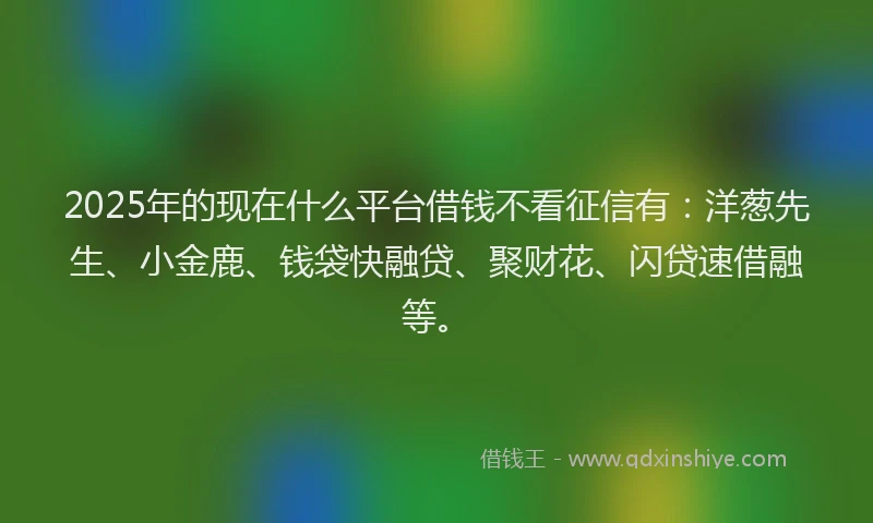 2025年的现在什么平台借钱不看征信有：洋葱先生、小金鹿、钱袋快融贷、聚财花、闪贷速借融等。