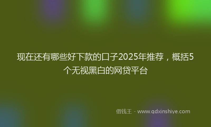 现在还有哪些好下款的口子2025年推荐，概括5个无视黑白的网贷平台