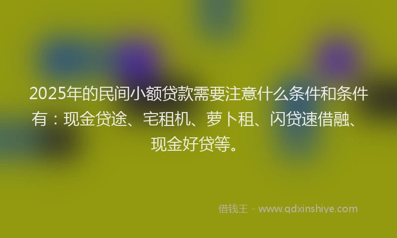 2025年的民间小额贷款需要注意什么条件和条件有：现金贷途、宅租机、萝卜租、闪贷速借融、现金好贷等。