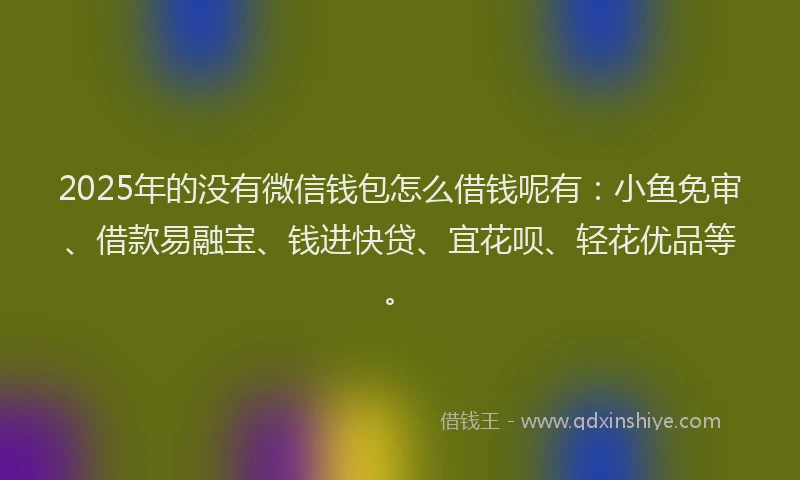 2025年的没有微信钱包怎么借钱呢有：小鱼免审、借款易融宝、钱进快贷、宜花呗、轻花优品等。