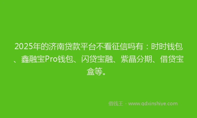2025年的济南贷款平台不看征信吗有：时时钱包、鑫融宝Pro钱包、闪贷宝融、紫晶分期、借贷宝盒等。