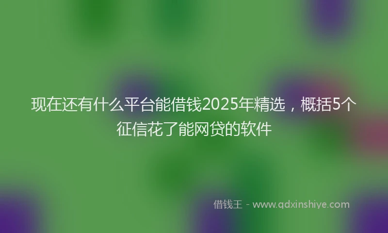 现在还有什么平台能借钱2025年精选，概括5个征信花了能网贷的软件