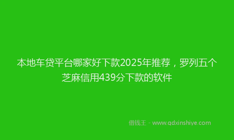 本地车贷平台哪家好下款2025年推荐，罗列五个芝麻信用439分下款的软件