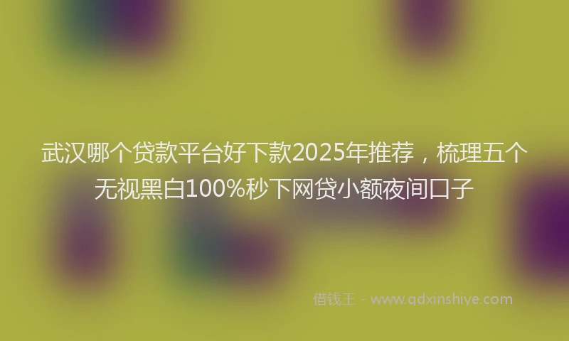 武汉哪个贷款平台好下款2025年推荐，梳理五个无视黑白100%秒下网贷小额夜间口子