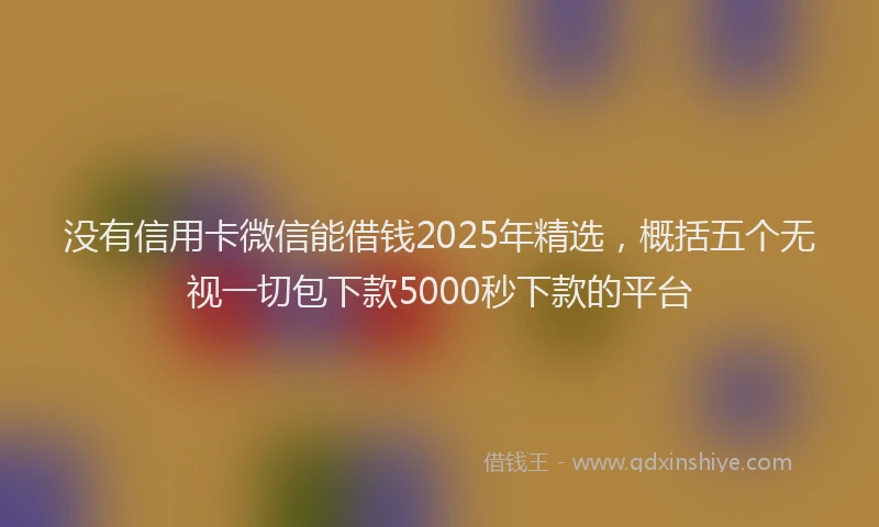没有信用卡微信能借钱2025年精选，概括五个无视一切包下款5000秒下款的平台