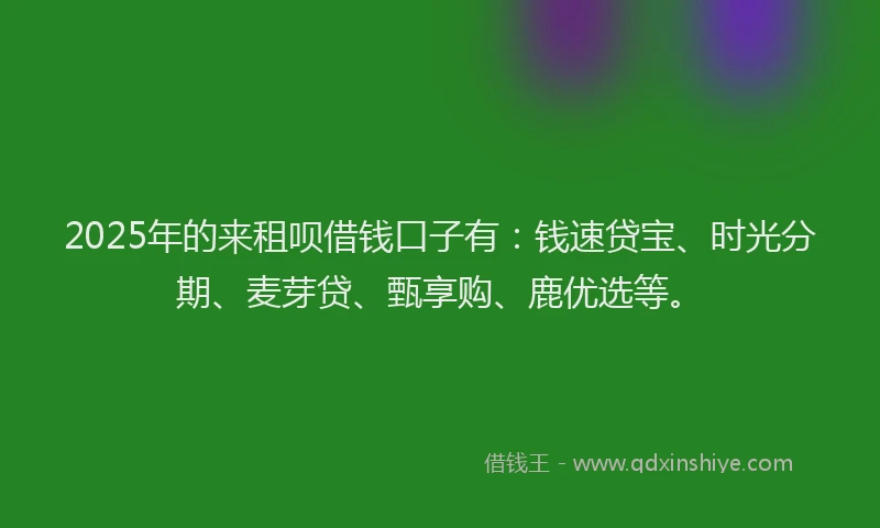 2025年的来租呗借钱口子有：钱速贷宝、时光分期、麦芽贷、甄享购、鹿优选等。