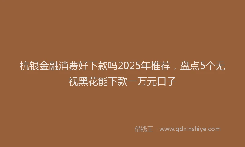 杭银金融消费好下款吗2025年推荐，盘点5个无视黑花能下款一万元口子