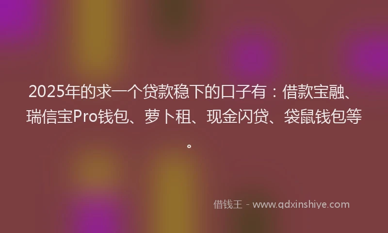 2025年的求一个贷款稳下的口子有：借款宝融、瑞信宝Pro钱包、萝卜租、现金闪贷、袋鼠钱包等。