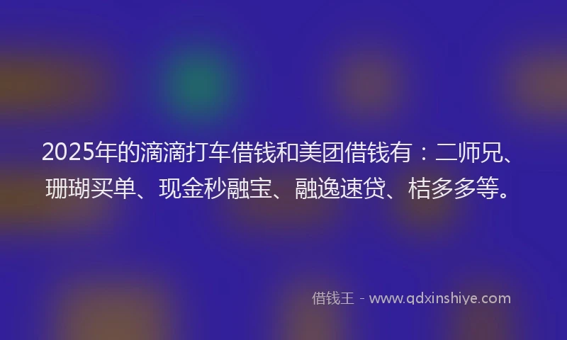 2025年的滴滴打车借钱和美团借钱有：二师兄、珊瑚买单、现金秒融宝、融逸速贷、桔多多等。