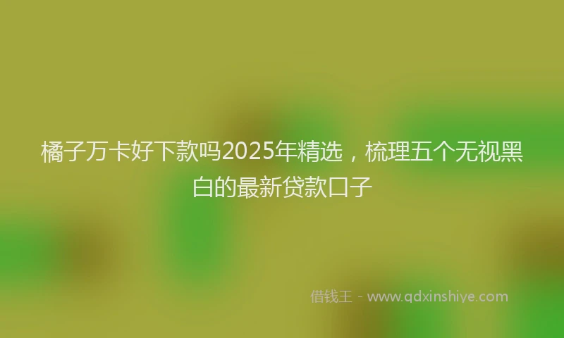 橘子万卡好下款吗2025年精选，梳理五个无视黑白的最新贷款口子