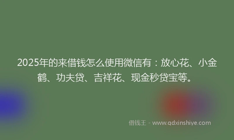 2025年的来借钱怎么使用微信有：放心花、小金鹤、功夫贷、吉祥花、现金秒贷宝等。