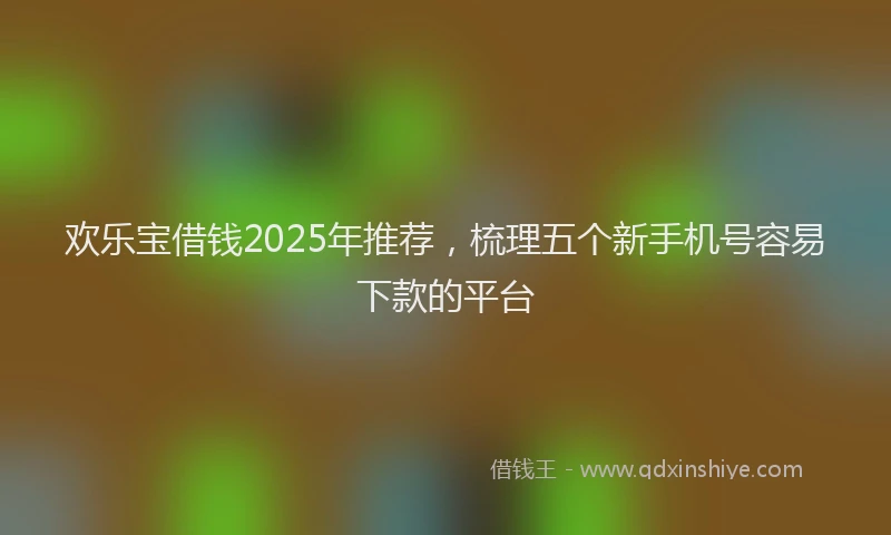 欢乐宝借钱2025年推荐，梳理五个新手机号容易下款的平台