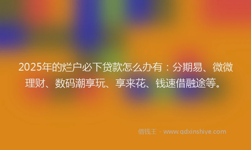 2025年的烂户必下贷款怎么办有：分期易、微微理财、数码潮享玩、享来花、钱速借融途等。