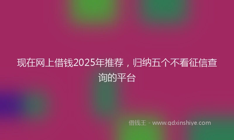 现在网上借钱2025年推荐，归纳五个不看征信查询的平台