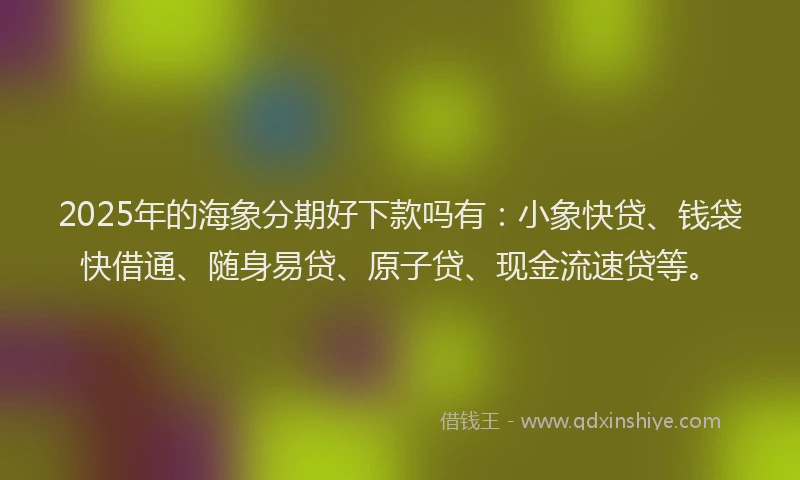 2025年的海象分期好下款吗有：小象快贷、钱袋快借通、随身易贷、原子贷、现金流速贷等。