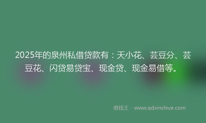 2025年的泉州私借贷款有：天小花、芸豆分、芸豆花、闪贷易贷宝、现金贷、现金易借等。