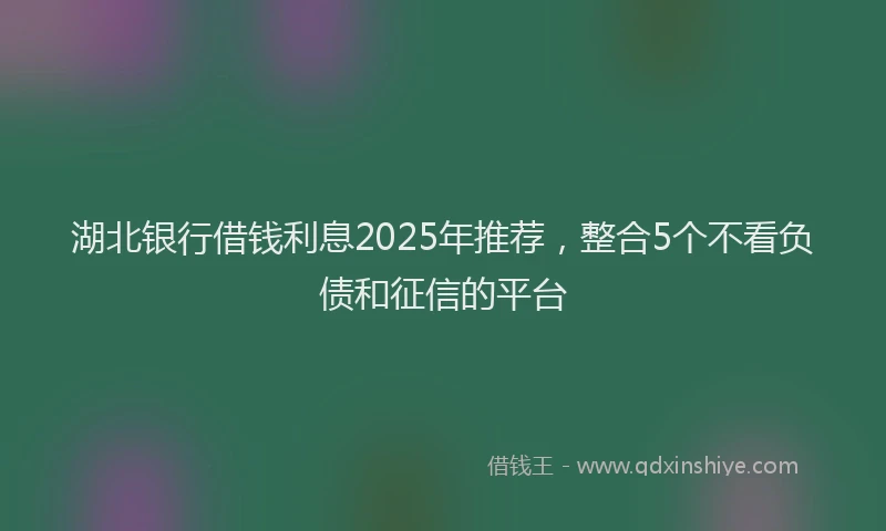 湖北银行借钱利息2025年推荐，整合5个不看负债和征信的平台