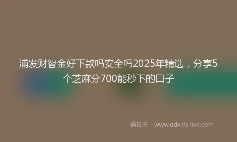 浦发财智金好下款吗安全吗2025年精选，分享5个芝麻分700能秒下的口子
