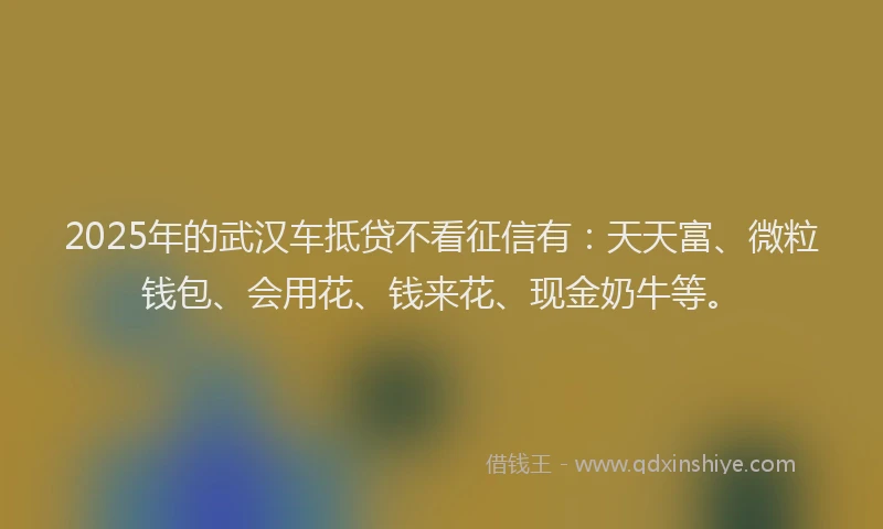 2025年的武汉车抵贷不看征信有：天天富、微粒钱包、会用花、钱来花、现金奶牛等。