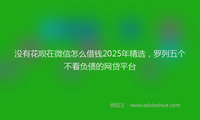 没有花呗在微信怎么借钱2025年精选，罗列五个不看负债的网贷平台