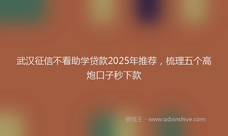 武汉征信不看助学贷款2025年推荐，梳理五个高炮口子秒下款