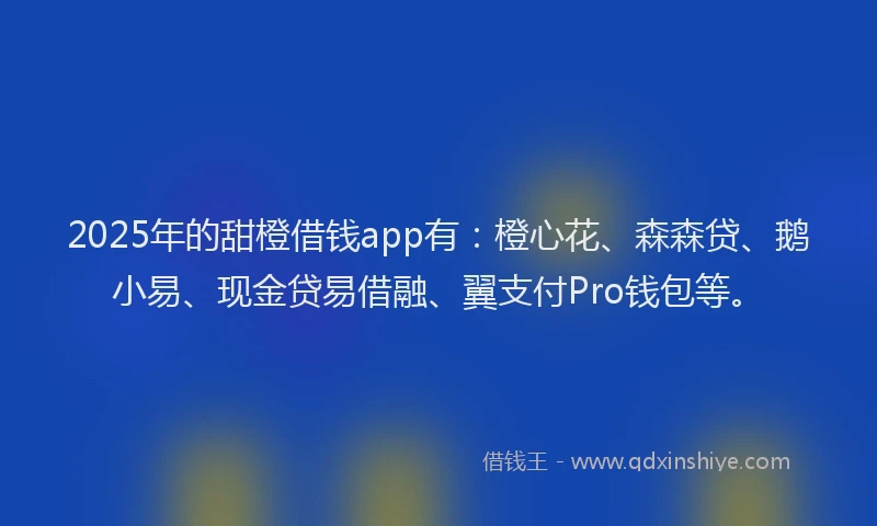 2025年的甜橙借钱app有：橙心花、森森贷、鹅小易、现金贷易借融、翼支付Pro钱包等。