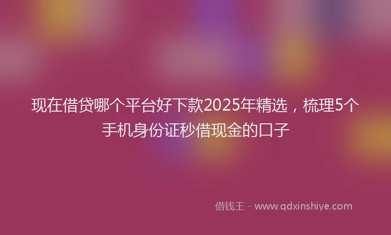 现在借贷哪个平台好下款2025年精选，梳理5个手机身份证秒借现金的口子