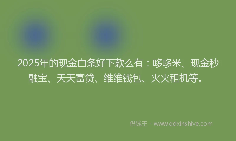 2025年的现金白条好下款么有：哆哆米、现金秒融宝、天天富贷、维维钱包、火火租机等。