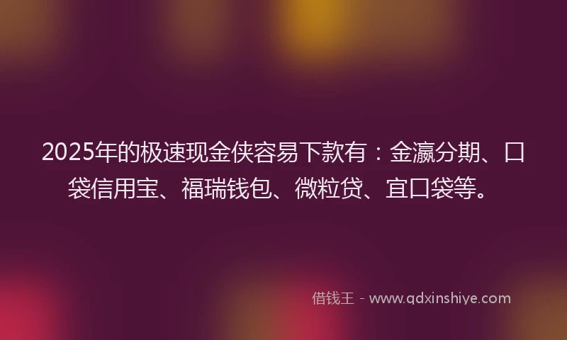 2025年的极速现金侠容易下款有：金瀛分期、口袋信用宝、福瑞钱包、微粒贷、宜口袋等。
