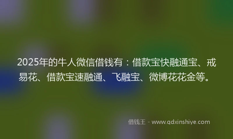 2025年的牛人微信借钱有：借款宝快融通宝、戒易花、借款宝速融通、飞融宝、微博花花金等。