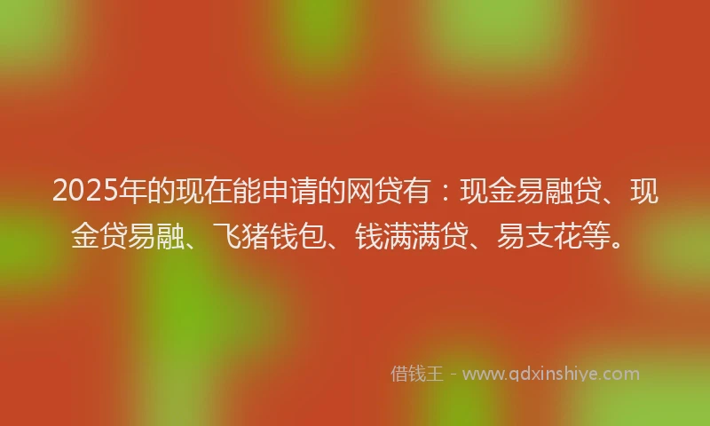 2025年的现在能申请的网贷有：现金易融贷、现金贷易融、飞猪钱包、钱满满贷、易支花等。