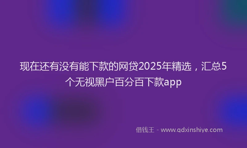 现在还有没有能下款的网贷2025年精选，汇总5个无视黑户百分百下款app