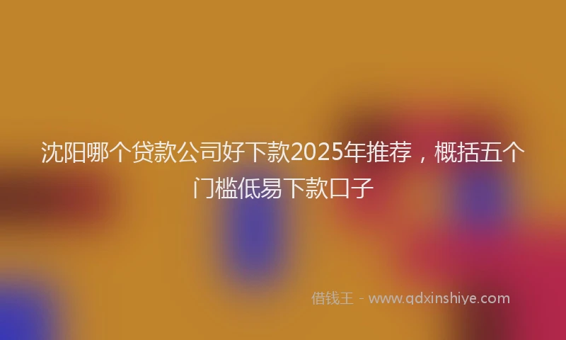 沈阳哪个贷款公司好下款2025年推荐，概括五个门槛低易下款口子