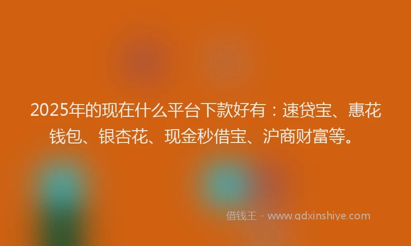 2025年的现在什么平台下款好有：速贷宝、惠花钱包、银杏花、现金秒借宝、沪商财富等。